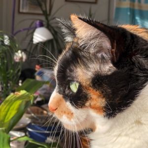 Meet your Posher, Hanna